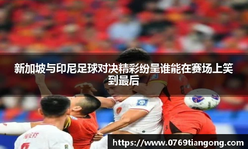 新加坡与印尼足球对决精彩纷呈谁能在赛场上笑到最后